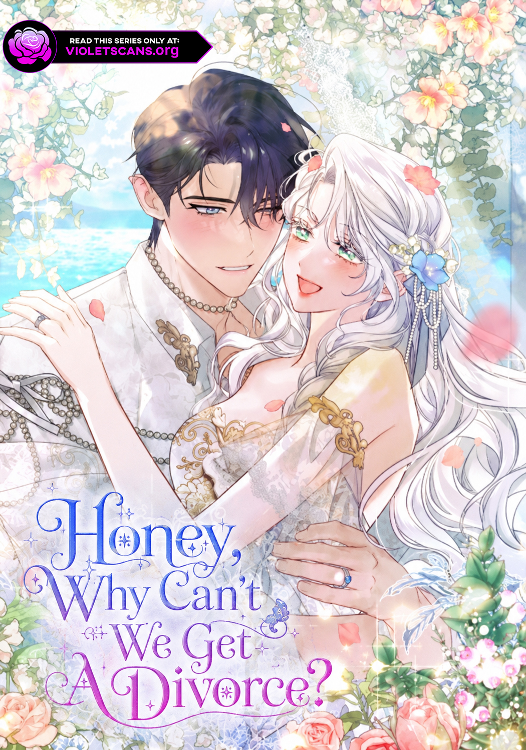 Honey, Why Can’t We Get A Divorce?