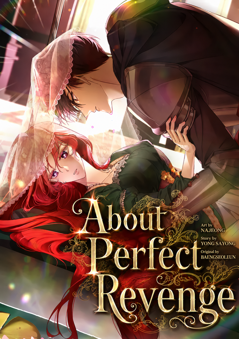About Perfect Revenge